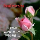 토요일 이미지