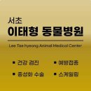 서초 이태형 동물병원 네이버블로그