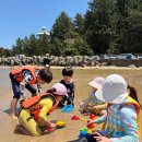 CU거창중앙교점 | 아이들과 여름 물놀이는 여기! 강원도 양양 하조대 해수욕장: 주차장, 기수역 조개잡이 및 뜰채 낚시...