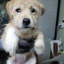 석근2길 이미지