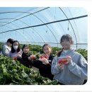 아이별 아이스타 태권도 이미지