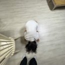 미스카츠 여수점 | ㄱㅇㅇ ㄱㅇㅇ