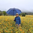 전곡시장 이미지