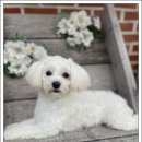 아이조아 요양보호소 경기광주 이미지