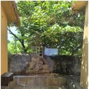 발레리조트 이미지