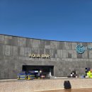 유수네분식 | [국내 겨울온천여행] 아산 파라다이스 스파 도고 내돈내산 방문 후기(+할인, 꿀팁)