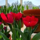 수목원펜션 이미지