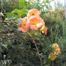 충남농장 이미지