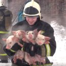 미소지은농장 이미지