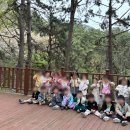 호돌유치원 이미지