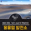 미래소금