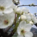 소희농장 이미지