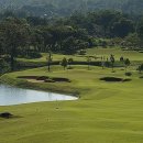 TOP 골프랜드 이미지