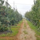 화성열매협동조합 이미지