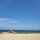 인아웃커피
