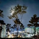 더 샵 이미지