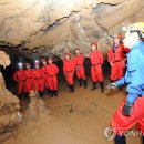 평창 백룡동굴 이미지