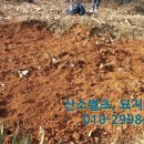 천지인장묘 이미지