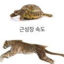 충무공동30 이미지