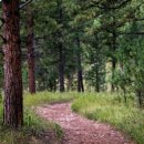 용선생 | [공지] [초등 4~6학년 역사 줌수업] 용선생 교과서 한국사 줌수업 후기