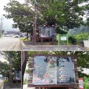 비슬산둘레길 4구간 이미지