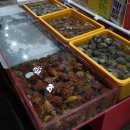 참바다숯불꼼장어 이미지