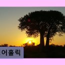 홀릭 | 영어홀릭 학생 성장에 집중하는 학습법
