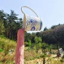 장길환미술관 네이버블로그