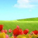 봄스킨