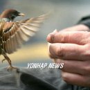 참새 - 남동구 성말로44번길 32 | 참새
