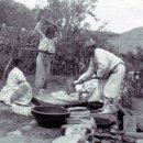 백의민족 이미지