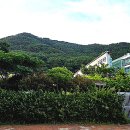 구포2동-2 | 부산의 역사 (북구의 이야기를 따라)
