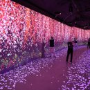 낙동강레일파크 이미지