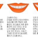 스마일디자인 - 통영시 | 스마일디자인
