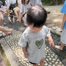 보니토(Bonito) | 남대문아동복 디그린 보니토 사이즈팁