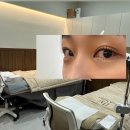 컬링팜 | 서울 마포 속눈썹 래쉬에비뉴 공덕점 꺾임 없이 완벽한 바짝 컬링 속눈썹펌 대만족 솔직 후기