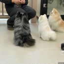 몽스빌리지 이미지