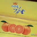 진리동물병원 이미지