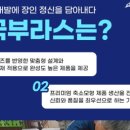 한국정밀주조 이미지