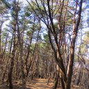 천상고등학교 이미지