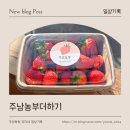 동읍134 | 경남 아이랑 가볼만한 곳│주남농부더하기 [창원 동읍 딸기 오감체험 클래스 / 예약꿀팁]