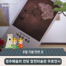 비움은 채움의 시작 展 | 미술관 무료전시 ‘공유’ 오선아 《그림그리는 작가 展 ‘비움과 채움’》 | 경주시 SNS 알리미 윤혜정