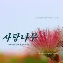 [KBS FM.1 정다운 가곡] 사랑나무 - 안재식 시인 / 이종록 작곡/ 소프라노 최윤정...2019.11.20 이미지