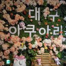 14 | 내돈내산 대구 신세계 아쿠아리움 후기!14개월 아기랑 크리스마스 시즌에 다녀왔어요