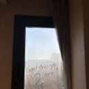 (주)신정관광여행사 | [비행일기] 마드리드 레이오버: 세고비아&amp;톨레도 일일투어, 마드리드에서 나만의 힐링스팟 찾기 - 공원...