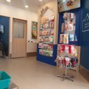 송악 동물병원 이미지