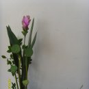 동양꽃꽂이 이미지