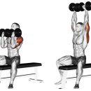 아놀드헬스 이미지