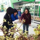 수완동주민센터 이미지