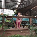 영선농장 이미지